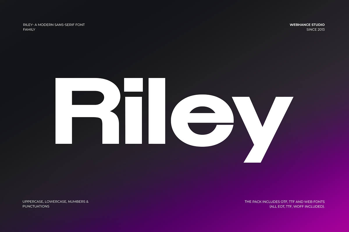 Riley - Modern Sans-Serif Font famil, a Sans Serif Font by Webhance Studio