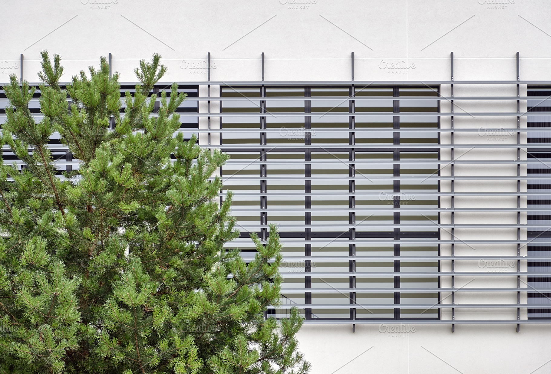 Modern building detail and tree, an Architecture Photo by BOOCYS