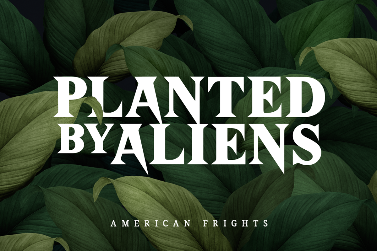 American Frights - Horror Serif Font, a Serif Font by The Branded Quotes, image size:1200x800