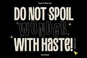 TAN - RAVENS, a Serif Font by TanType (Thumbnail 4 of 11)