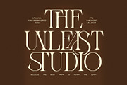 Amsio Elegant Serif Font, a Serif Font by Perfectype (Thumbnail 2 of 8)