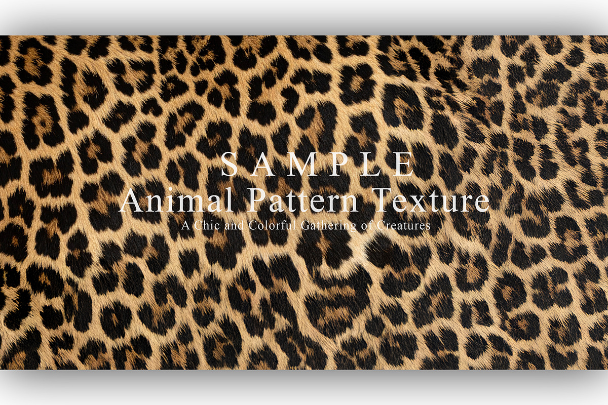 24 Animal Pattern Texture, a Background Graphic by NOMO DESIGN (Photo 5 of 24)