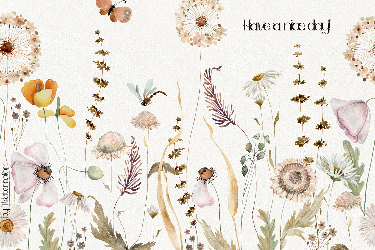 Dried Wildflowers Collection, a Decorative Illustration by TanyaOak (Photo 9 of 9)