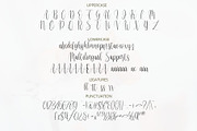 Vignette Cursive Font, a Script Font by Jackgridden (Thumbnail 13 of 16)