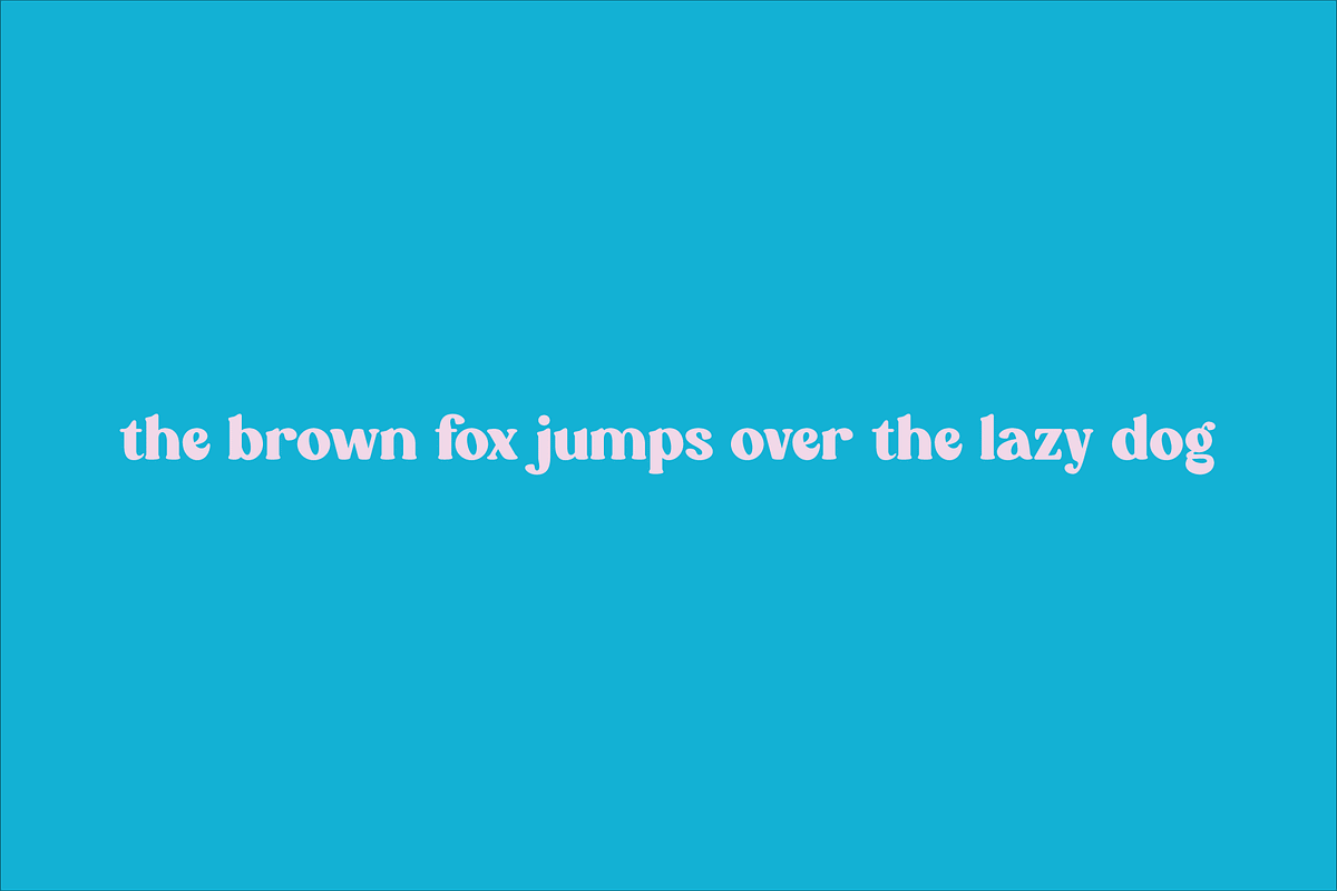 Mariya - Smooth Serif Font, a Sans Serif Font by Design House (Photo 2 of 3)