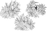 Tropical Birds Sketch, an Animal Illustration by Valentyna Smordova (Thumbnail 4 of 5)