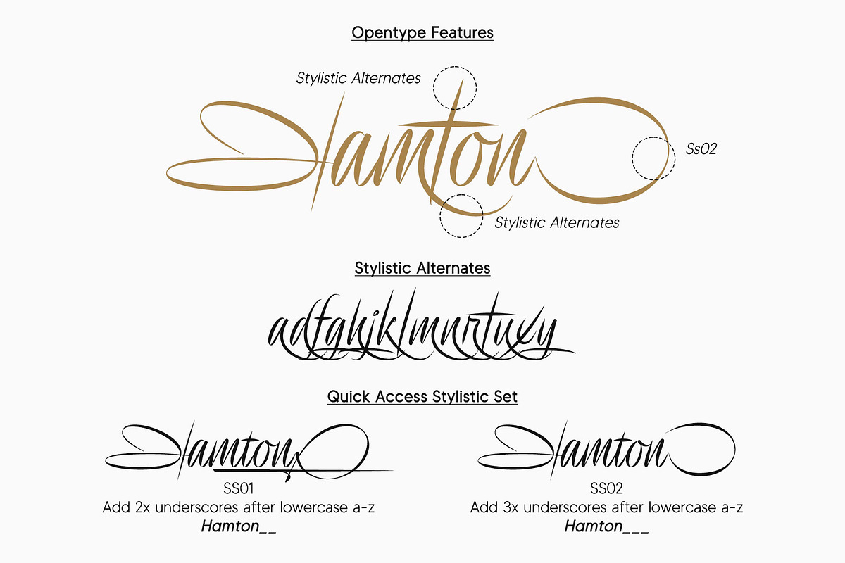 Delion | Signature Font, a Script Font by Lemonthe (Photo 2 of 10)