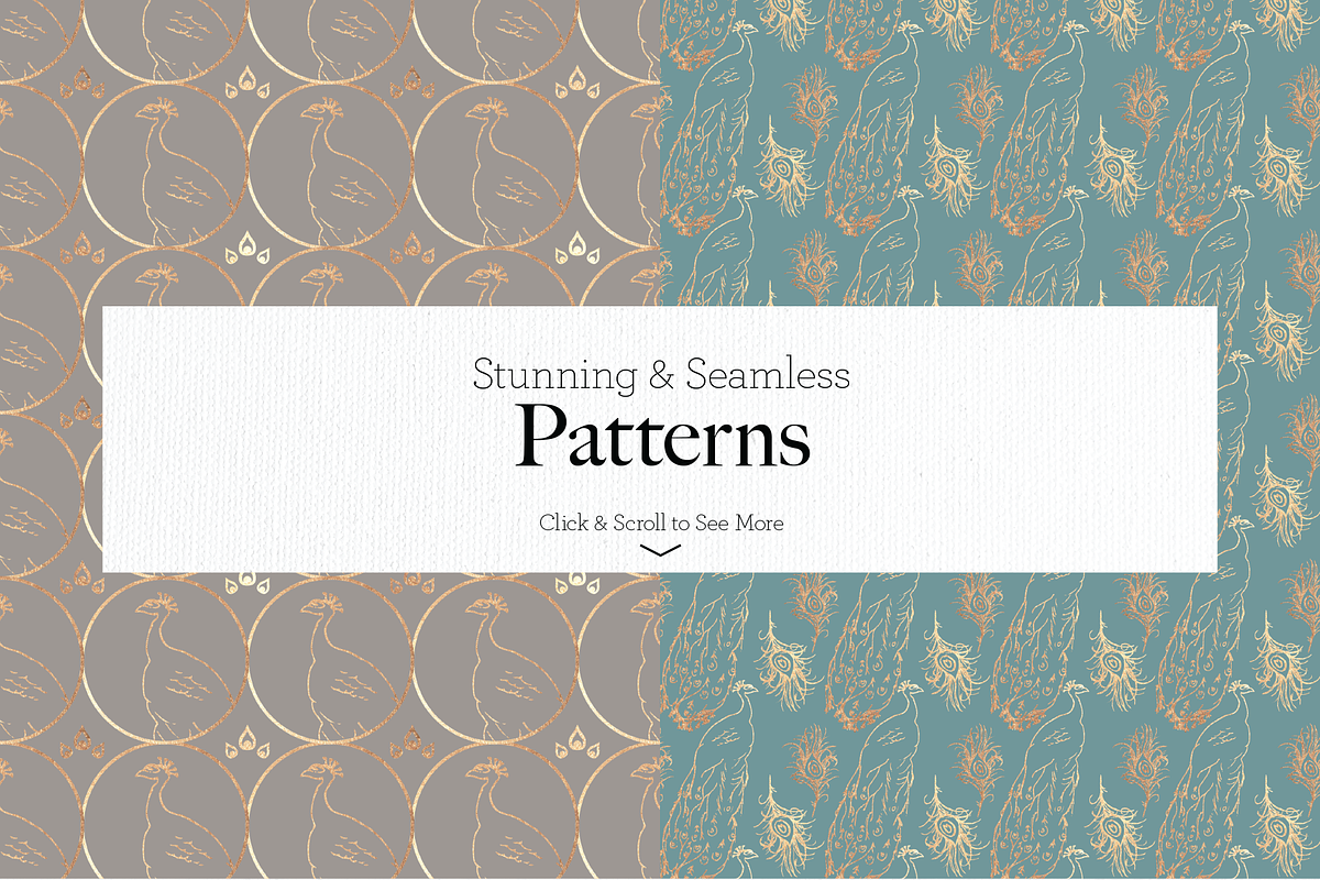 Fancy Peacock Collection, a Texture Illustration by DesignsByMissM (Photo 3 of 4)