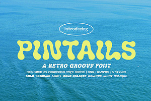 Pintails Display Font, a Sans Serif Font by Migomojo Type House
