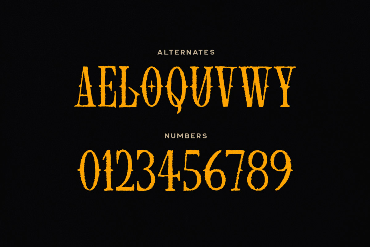 Flamberge Typeface, a Serif Font by Tugcu Design Co. (Photo 3 of 3)