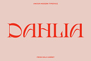 Amour Modern Display Logo Serif, a Sans Serif Font by Mila Garret (Thumbnail 12 of 27)