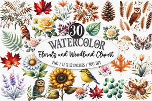 Florals and Woodland Clipart, an Illustration by Designking