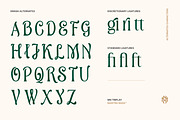 MN Triplay - Elegant Display Serif, a Serif Font by Mantra Naga (Thumbnail 6 of 15)