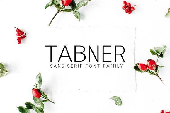 Tabner Sans Serif Font Family preview 7