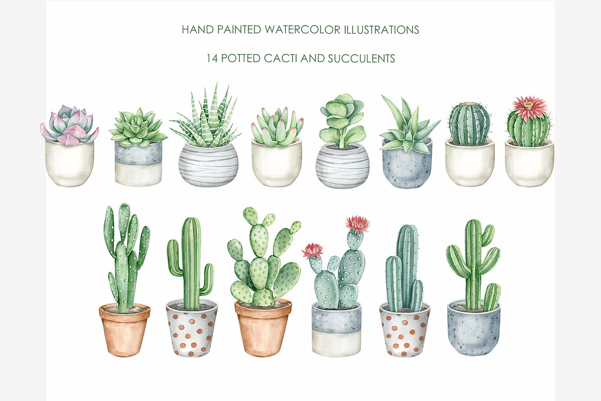 Watercolor cactus clipart, a Decorative Illustration by AquarelleSpace (Photo 2 of 5)
