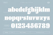 Thick Thinks - Display Font, a Font by Martype Co (Thumbnail 11 of 11)