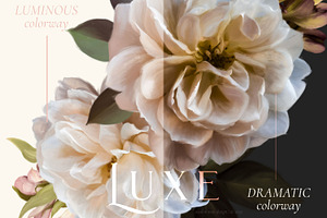 Luxe Oil Paint Floral Graphics