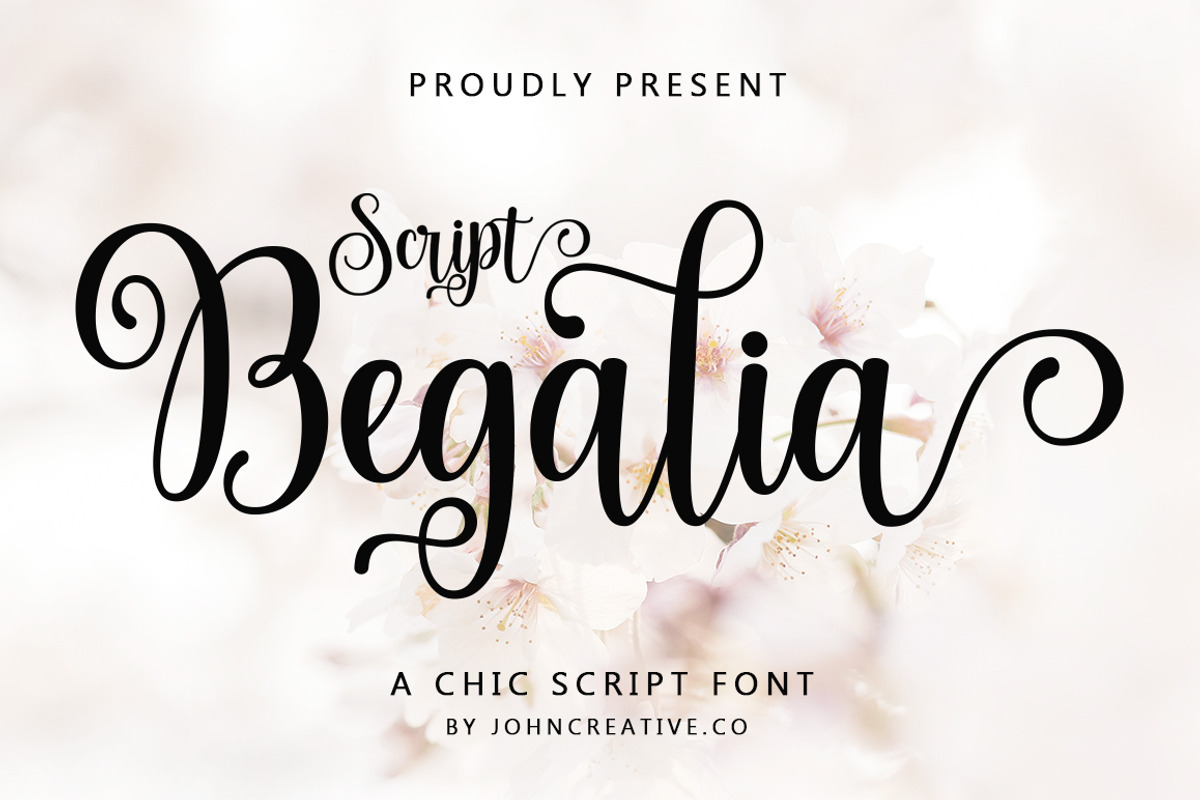 Begalia Script, a Script Font by Mr.johncreative.co (Photo 1 of 8)