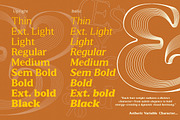 Astheric, a Serif Font by Mantype Studio (Thumbnail 3 of 16)