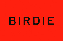 Birdie | Vintage Print Font