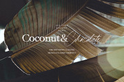 California Palms Fonts & Graphics, a Serif Font by Nicky Laatz (Thumbnail 13 of 48)