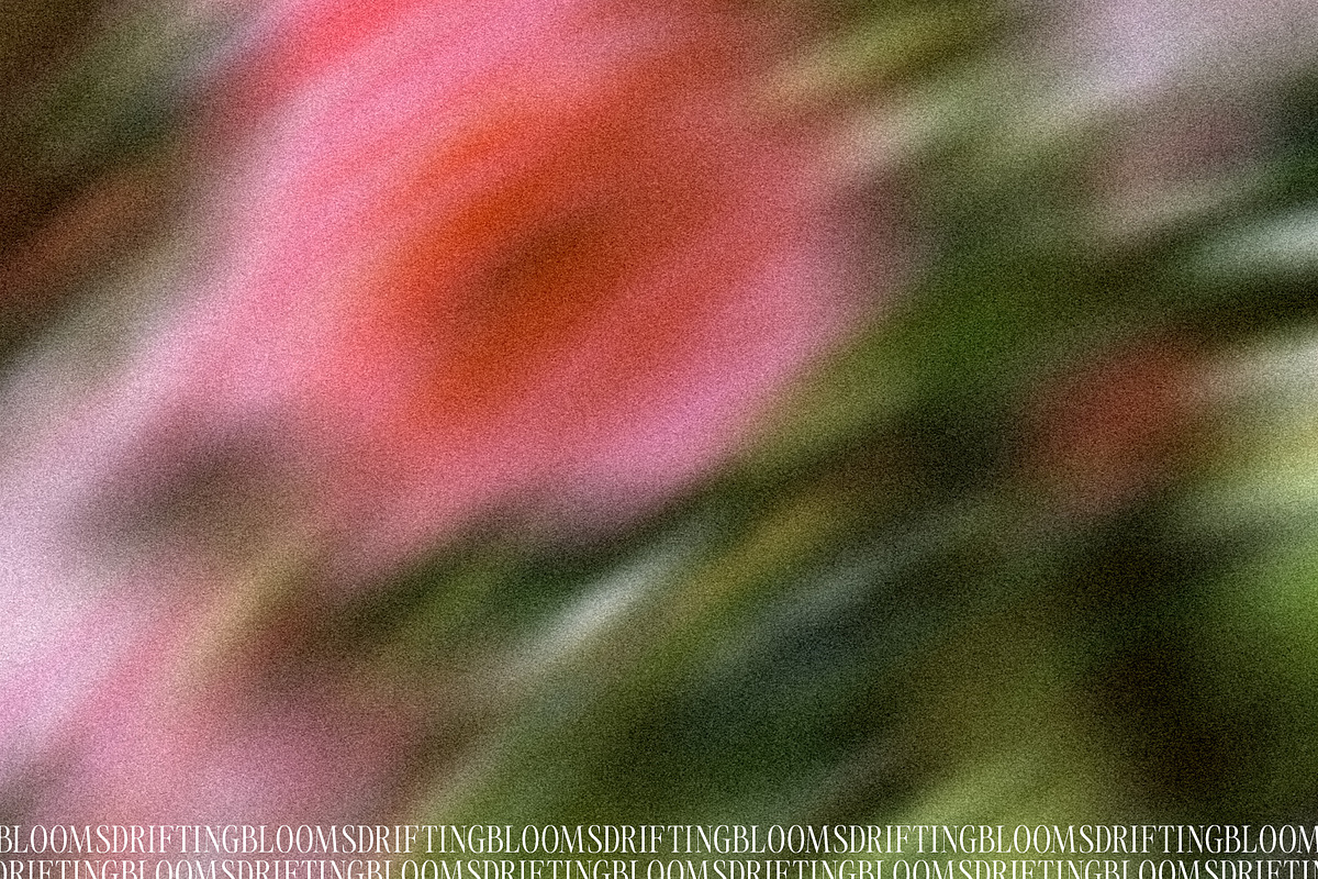Drifting Blooms, a Background Graphic by Dina Mae (Photo 3 of 12)