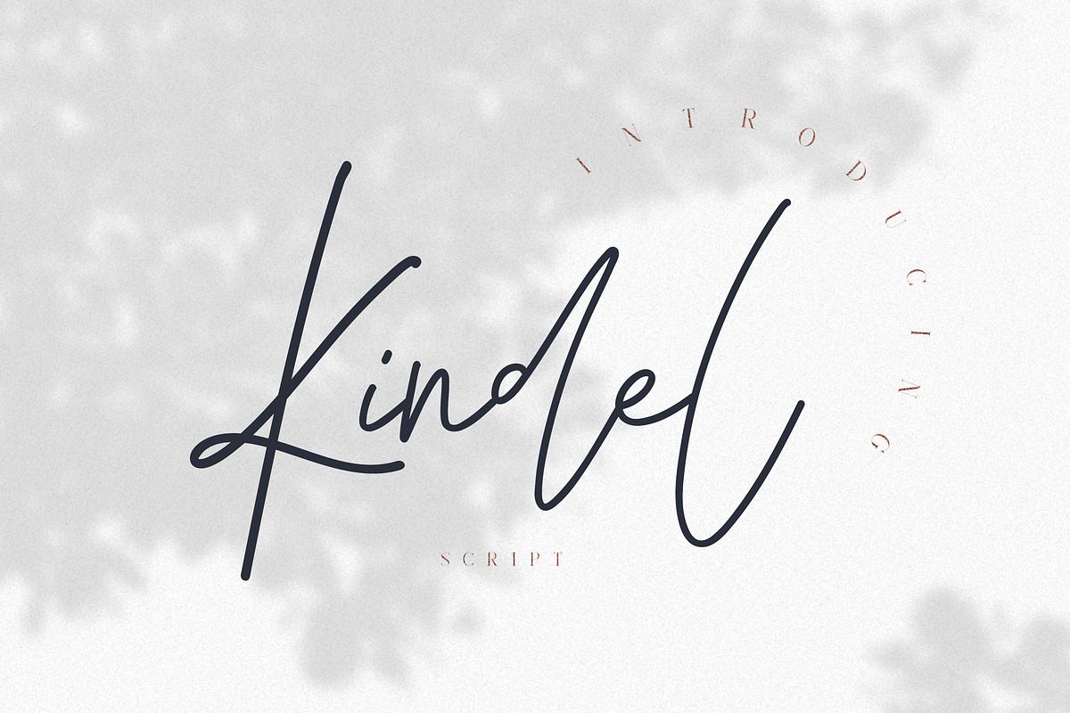 Kindel - Completed Collection, a Serif Font by VP Fonts (Photo 25 of 44)