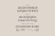 Caferinam Deco & Elegant Serif, a Serif Font by Cruzine (Thumbnail 5 of 10)