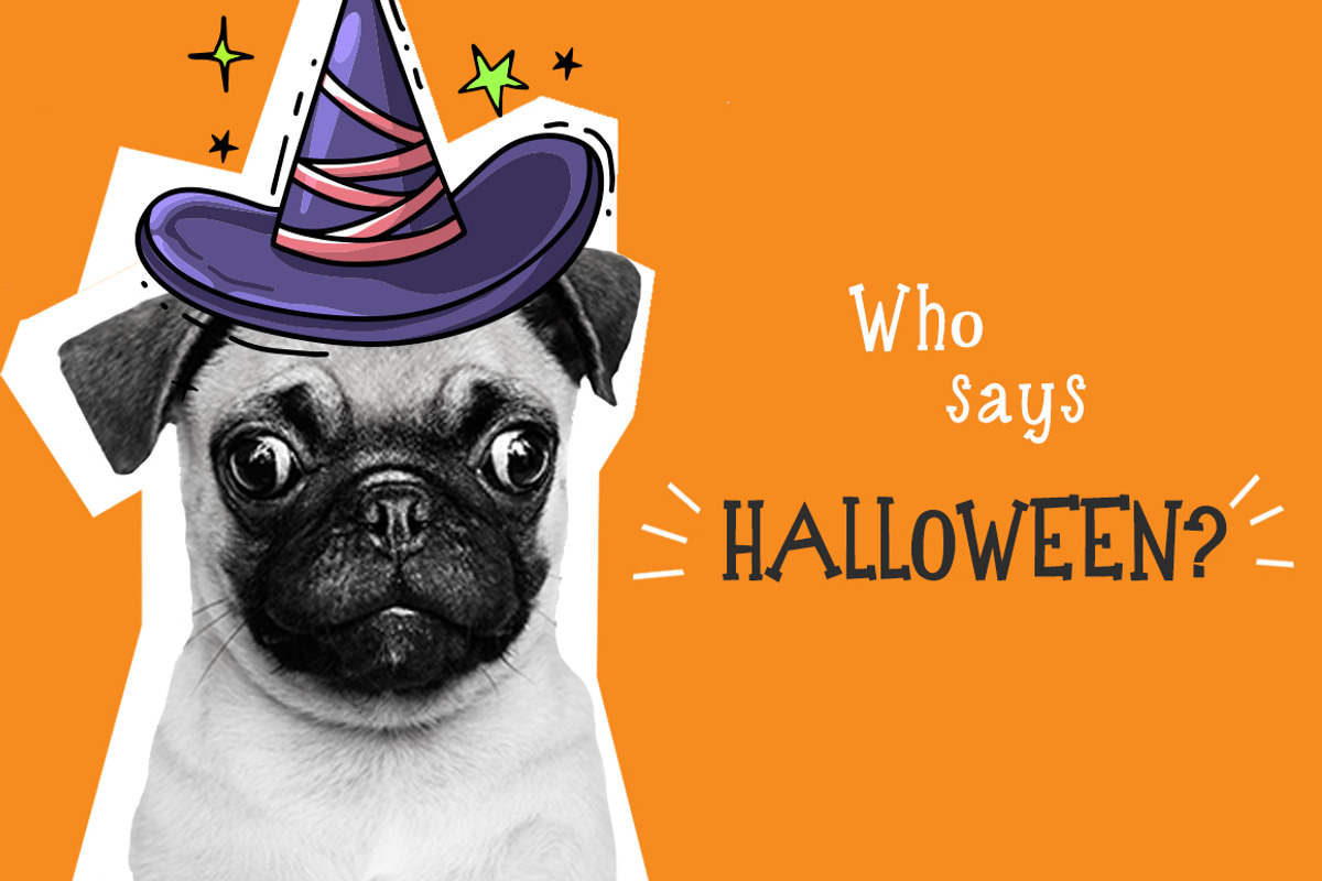 Funny Halloween preview 5