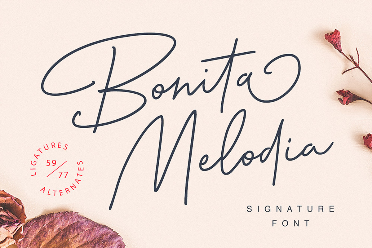 Bonita Melodia Script