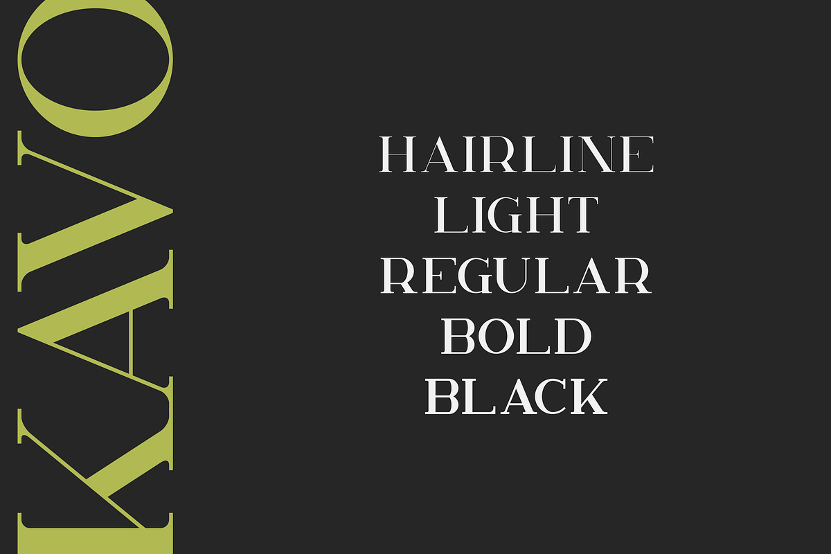 Kavo Serif Typeface - 5 weights, a Serif Font by VP Fonts (Photo 2 of 12)