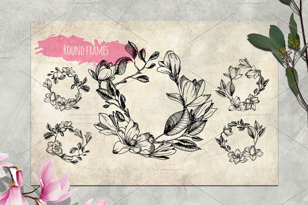 Magnolia flowers. Engraving style., a Decorative Illustration by Alena Kaz (Photo 7 of 12)
