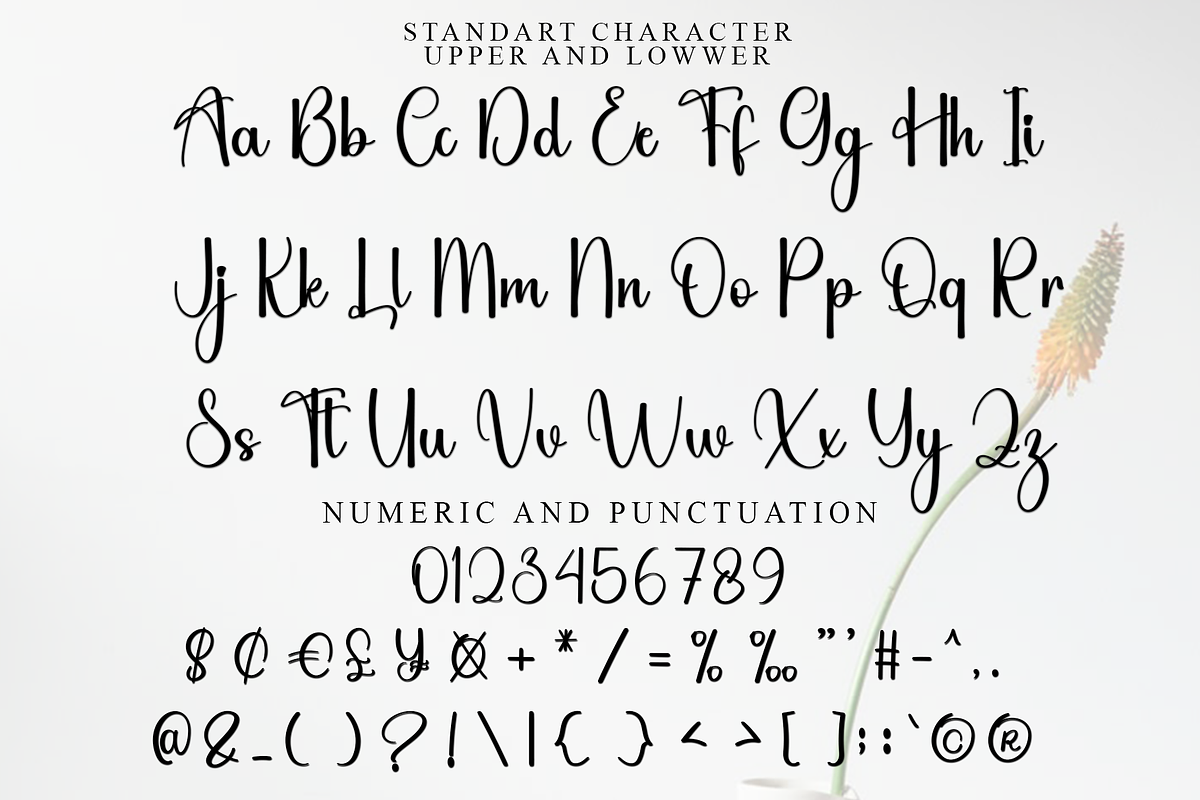 Shopia, a Handwritten Font by InermediaSTUDIO (Photo 4 of 8)