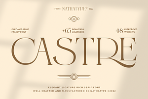 Castre - Serif Font Family Updated