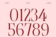 CS Katnis – Modern Serif Font, a Serif Font by Craft Supply Co. (Thumbnail 5 of 8)