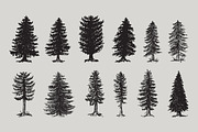 Mountain Forest Hand-drawn Elements, an Illustration by Artolabs (Thumbnail 5 of 10)