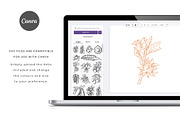 Australian Botanicals 4 in 1 Bundle, a Decorative Illustration by rouxsupplyco (Thumbnail 24 of 25)