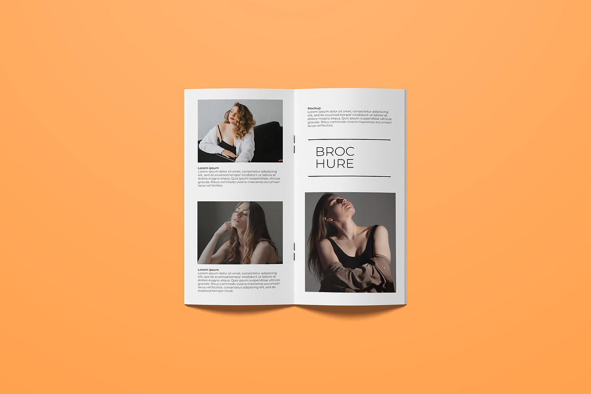 DL Brochure Mockup, a Books & Magazine Mockup by Lxadesign (Photo 5 of 12)