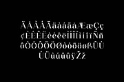 Meganfolk Elegant Serif Family, a Serif Font by UICreative (Thumbnail 19 of 26)