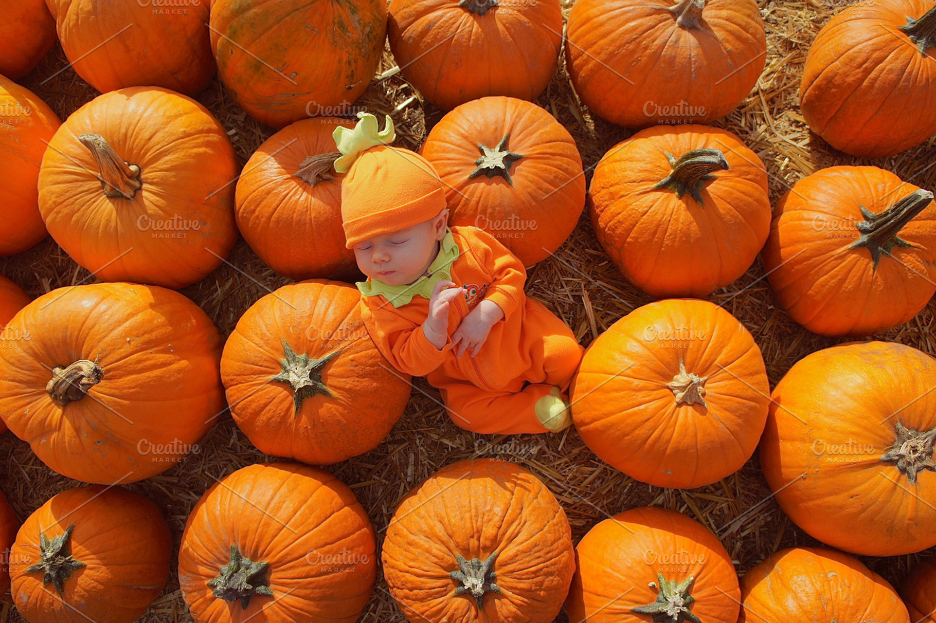 Serene Pumpkin Baby