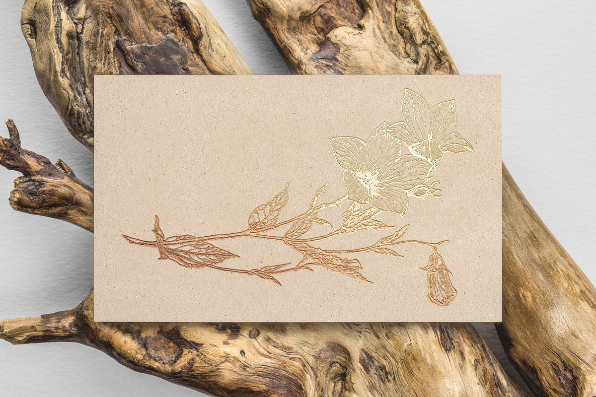 100 Vintage Leaves & Branches 2, an Illustration by Brigantine Designs (Photo 3 of 8)
