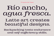 DT Augustina Slab 7 Subfamily, a Slab Serif Font by Deveze Type Foundry (Thumbnail 7 of 31)