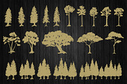 Trees Hand Drawn Illustrations, an Illustration by Artolabs (Thumbnail 3 of 5)