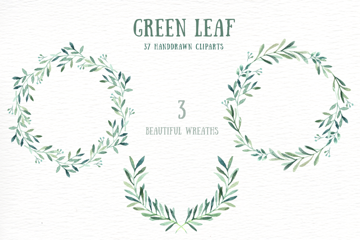 Green Leaf Watercolor clipart, an Illustration by everysunsun (Photo 2 of 4)