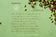 Moonsilk Font, a Handwritten Font by Letterhanna Studio (Thumbnail 15 of 15)