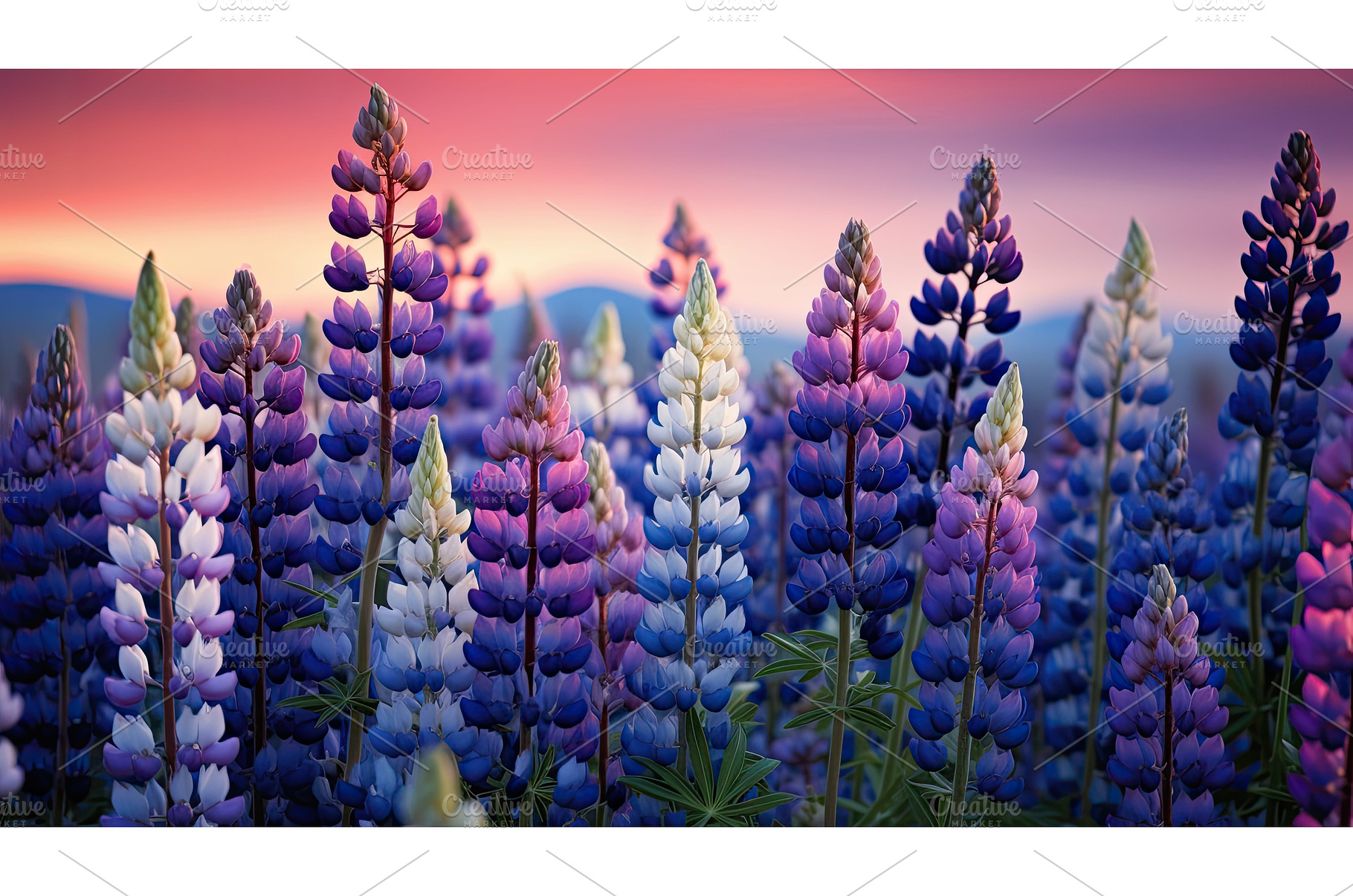 garden wildflowers lupine ai, an Animal Photo by pikepicture
