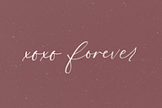 Fall Ember Calligraphy Font, a Script Font by Beck McCormick (Thumbnail 9 of 11)