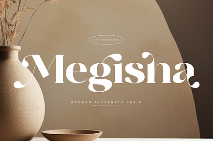 Megisha Modern Alternate Serif, a Serif Font by Letterena Studios