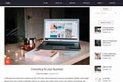 CMA – Consulting & Marketing Agency, a WordPress Template by FlyTemplates.com (Thumbnail 6 of 7)
