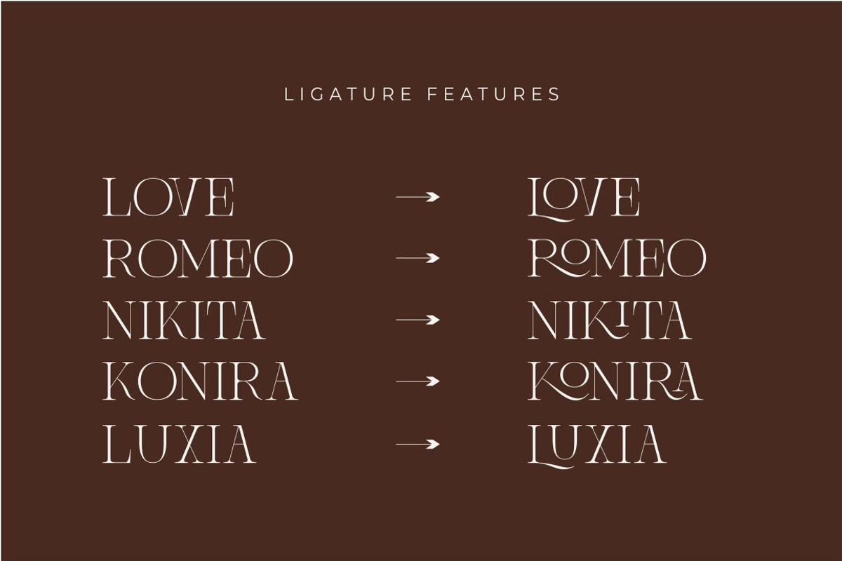 Brisca Miera - Chic Ligature Font, a Serif Font by suhadidesign (Photo 8 of 13)